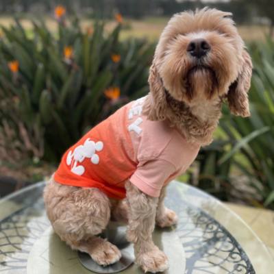 Mickey Mouse Two-Tone Spirit Jersey for Pets