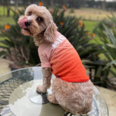 Mickey Mouse Two-Tone Spirit Jersey for Pets