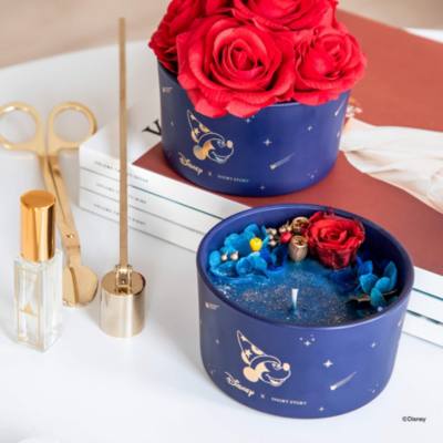 Disney Candle Fantasia II