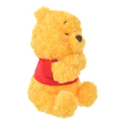 Winnie The Pooh Hugging Plush