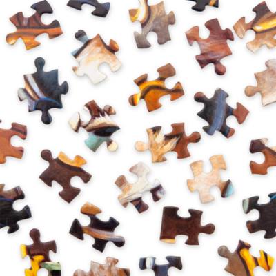 Donald Duck 90th Anniversary Jigsaw Puzzle