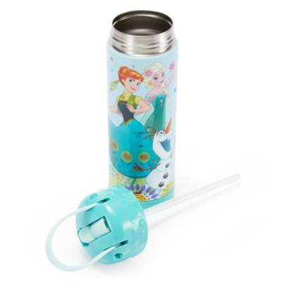 Frozen Stainless Steel Water Bottle with Built-In Straw