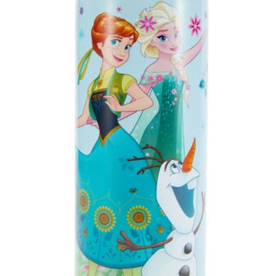 Frozen Stainless Steel Water Bottle with Built-In Straw