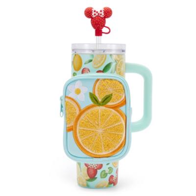 Mickey Mouse and Friends Fruit Stand Stainless Steel Travel Tumbler with Straw plus Zip Case