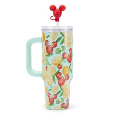 Mickey Mouse and Friends Fruit Stand Stainless Steel Travel Tumbler with Straw plus Zip Case