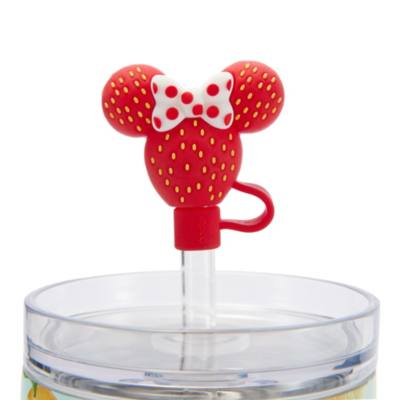 Mickey Mouse and Friends Fruit Stand Stainless Steel Travel Tumbler with Straw plus Zip Case