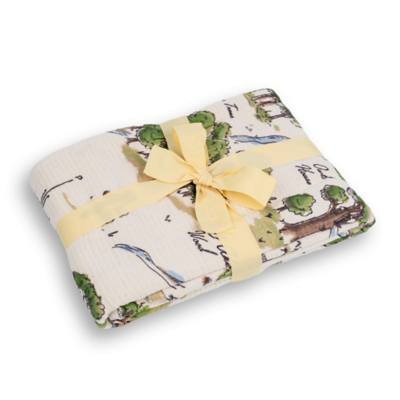Winnie the Pooh and Pals Throw