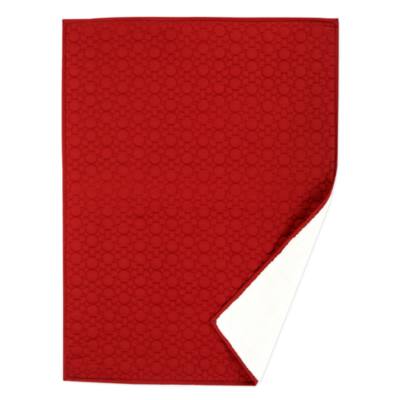 Fantasyland Castle Homestead Throw