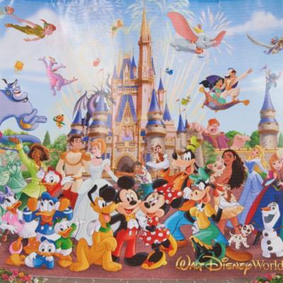 Walt Disney World Storybook Medium Reusable Shopping Bag