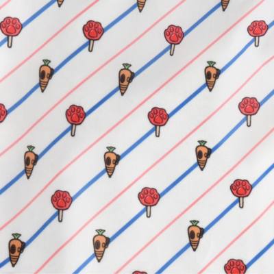 Zootopia Backpack for Adults