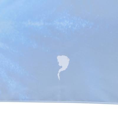 Elsa Foldable Umbrella, Frozen