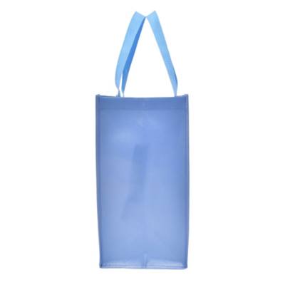 Stitch Day 2024 Shopping Bag