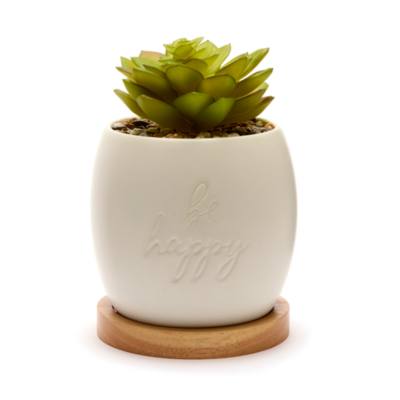 Mickey Mouse Plant Pot