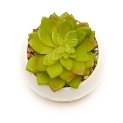 Mickey Mouse Plant Pot