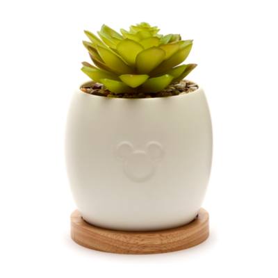 Mickey Mouse Plant Pot