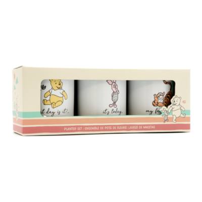 Winnie the Pooh and Friends Plant Pot Set