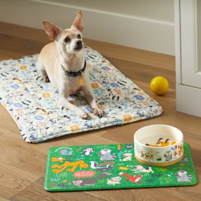 Disney Critters Pet Feeding Mat