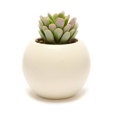 Baymax Planter, Big Hero 6