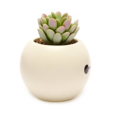 Baymax Planter, Big Hero 6
