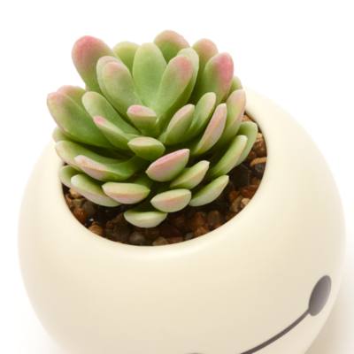 Baymax Planter, Big Hero 6