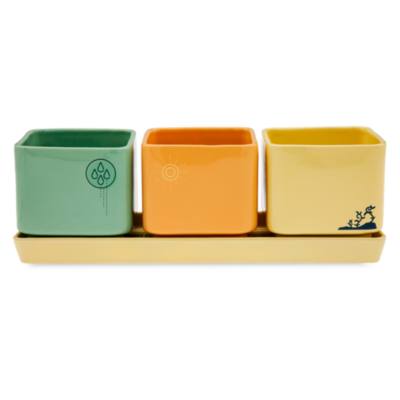 WALL-E and EVE Herb Planter Set