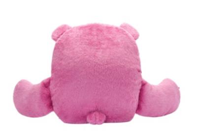 Lotso Floral 3 in 1 Scented Blanket