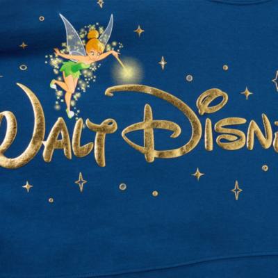 Walt Disney World Storybook Spirit Jersey for Adults