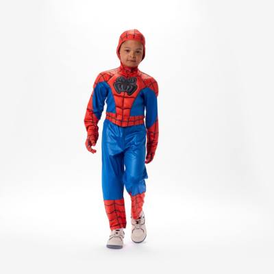 Spidey and His Amazing Friends Costume with Sound for Kids