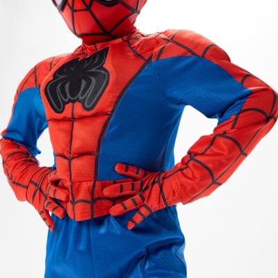 Spidey and His Amazing Friends Costume with Sound for Kids