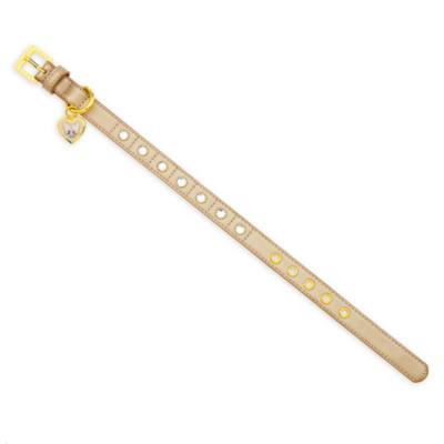 Ann Shen 設計款《貓兒歷險記》狗用項圈