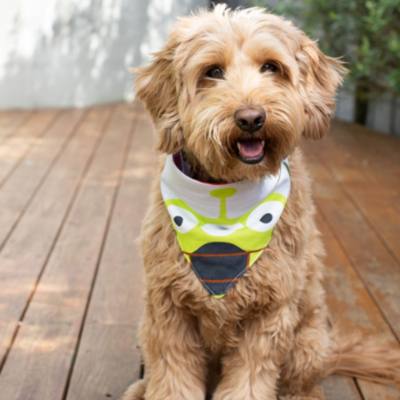 Pixar Holiday Bandana Set For Dogs