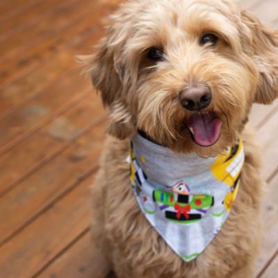 Pixar Holiday Bandana Set For Dogs