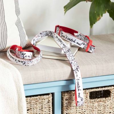 《101 斑點狗》狗頸帶