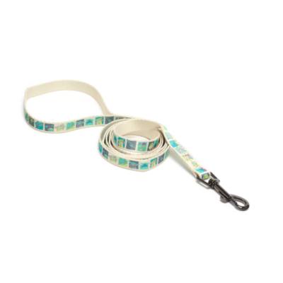 Grogu Dog Lead, Star Wars: The Mandalorian