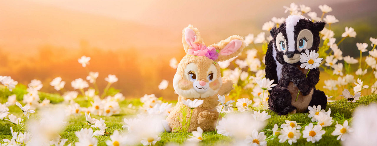 Background image of Spring Romance