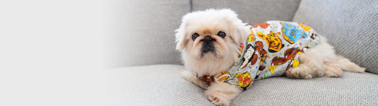 別忘了毛小孩 的背景圖片